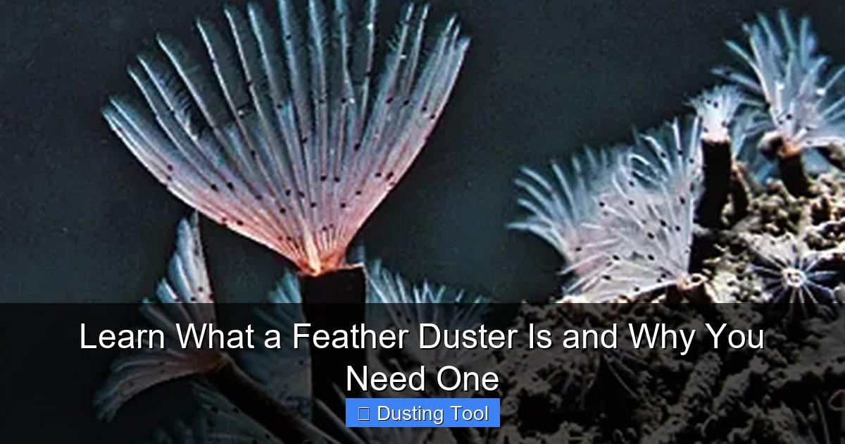 Learn What a Feather Duster Is and Why You Need One