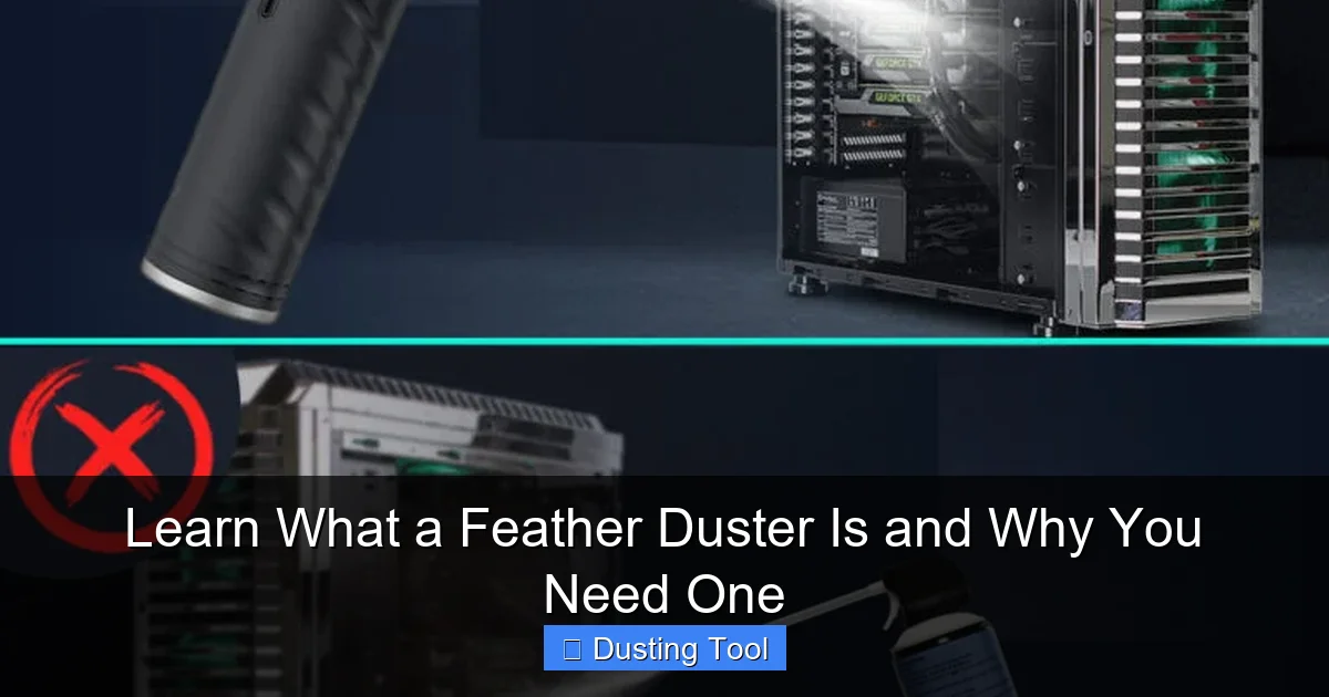 Learn What a Feather Duster Is and Why You Need One