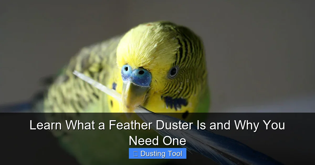 Learn What a Feather Duster Is and Why You Need One