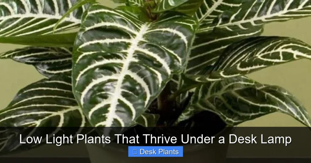 Low Light Plants That Thrive Under a Desk Lamp
