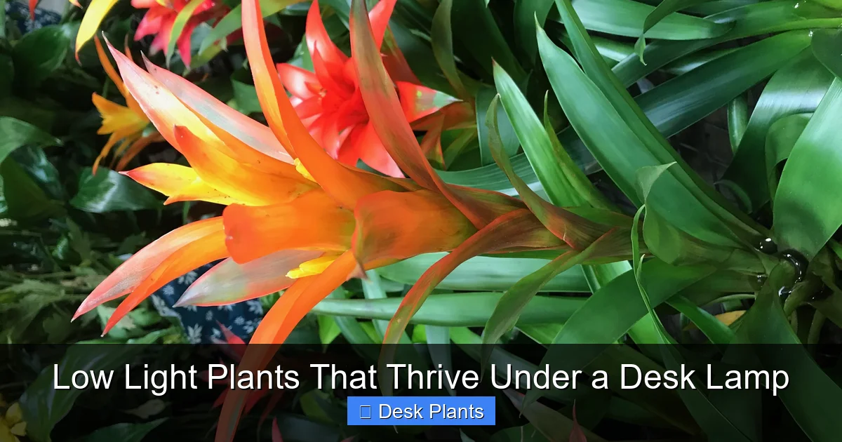 Low Light Plants That Thrive Under a Desk Lamp