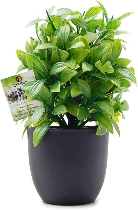 OFFIDIX Artificial Eucalyptus Plants with Black Vase for Office and Ho
