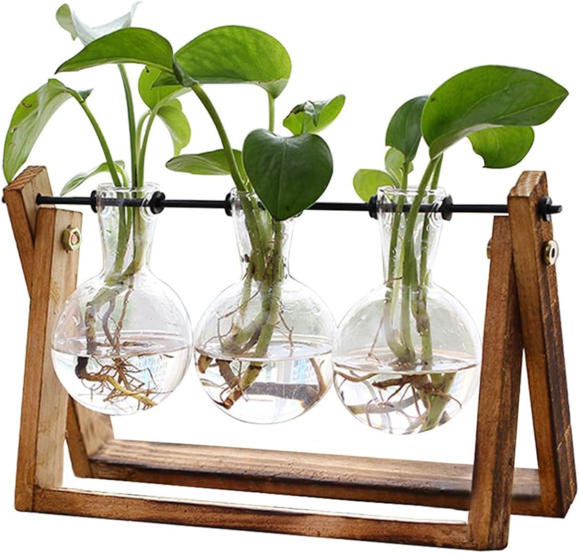 Plant Terrarium with Wooden Stand and Glass Bulb Vases for Indoor Hydr