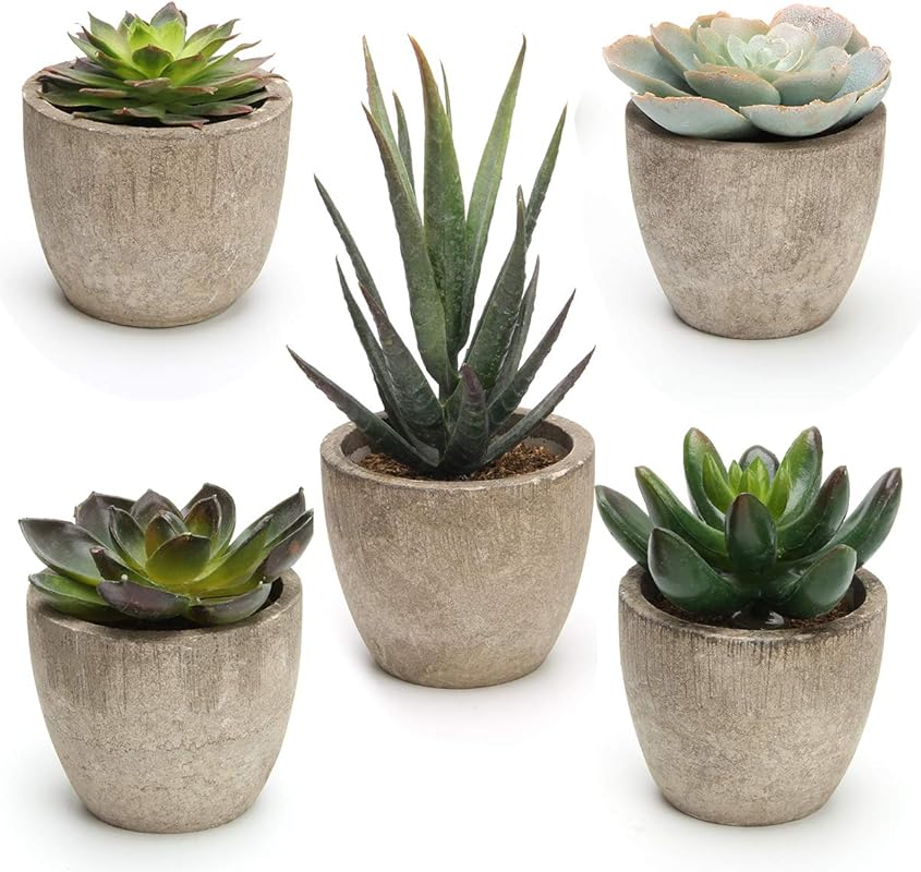 Coitak Artificial Succulent Plants Potted, Assorted Decorative Faux Su