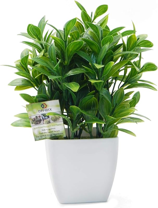 OFFIDIX Artificial Eucalyptus Plants with White Vase for Office and Ho