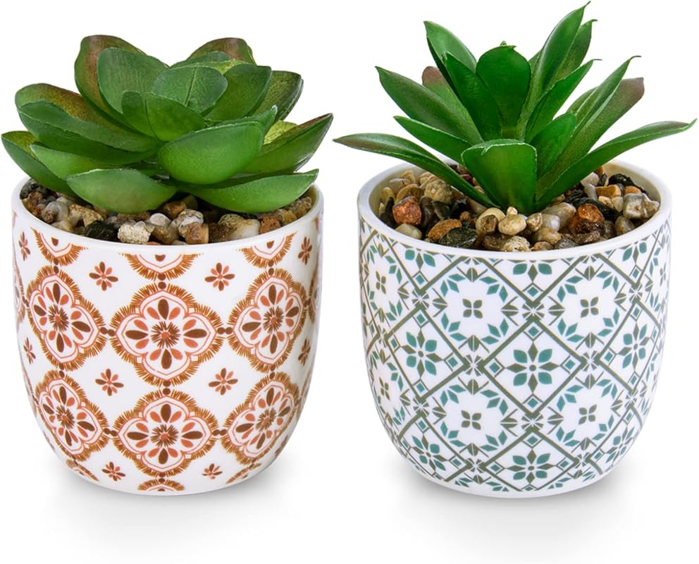 Succulent Flowers in Ceramic Planters - Set of 2 for Home and Office D