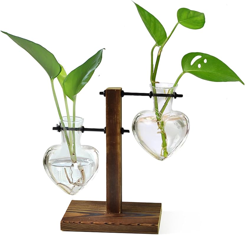 Plant Terrarium Wooden Stand with Hydroponic Glass Holder for Home Off