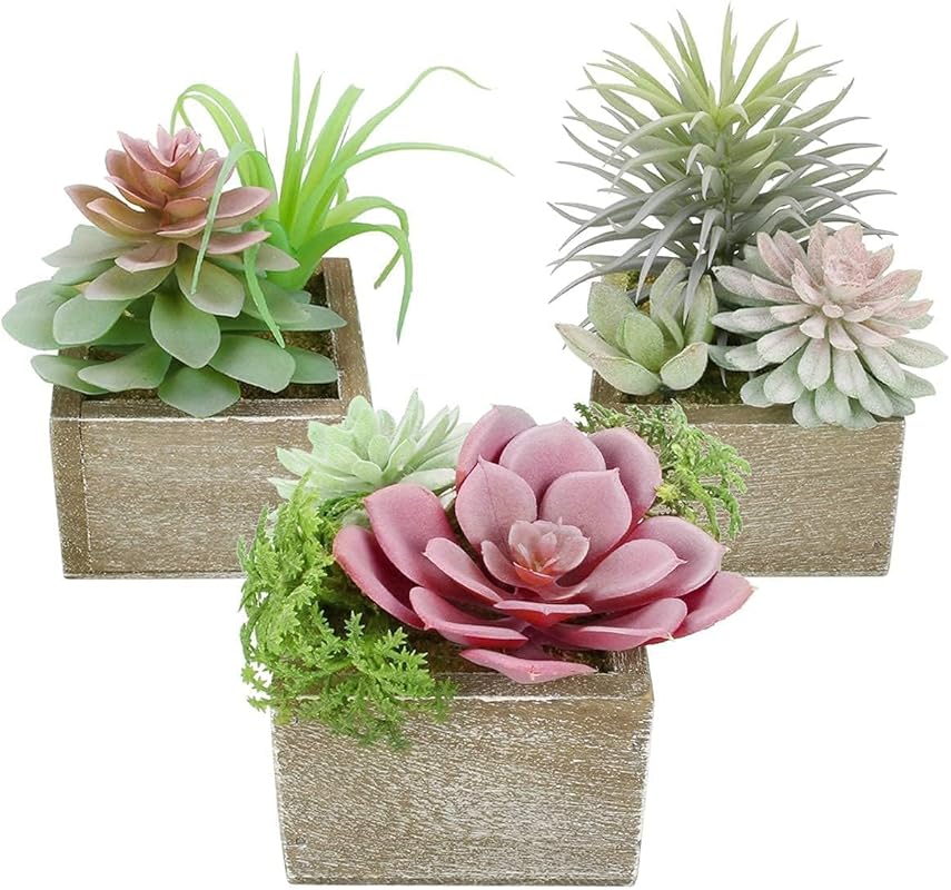 Artificial Succulent Plants Set of 3 in Wood Pots for Indoor Home Deco