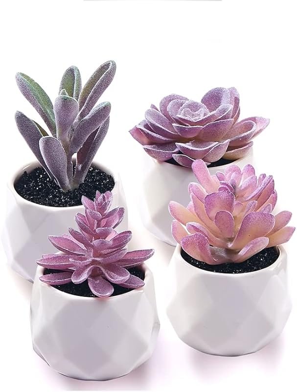 Fake Succulent Plant Set in Ceramic Pots for Desk and Home Decor