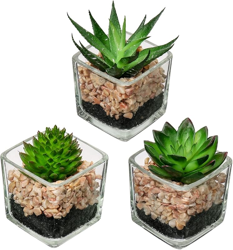 Set of 3 Artificial Succulent Plants in Glass Pots for Home and Office