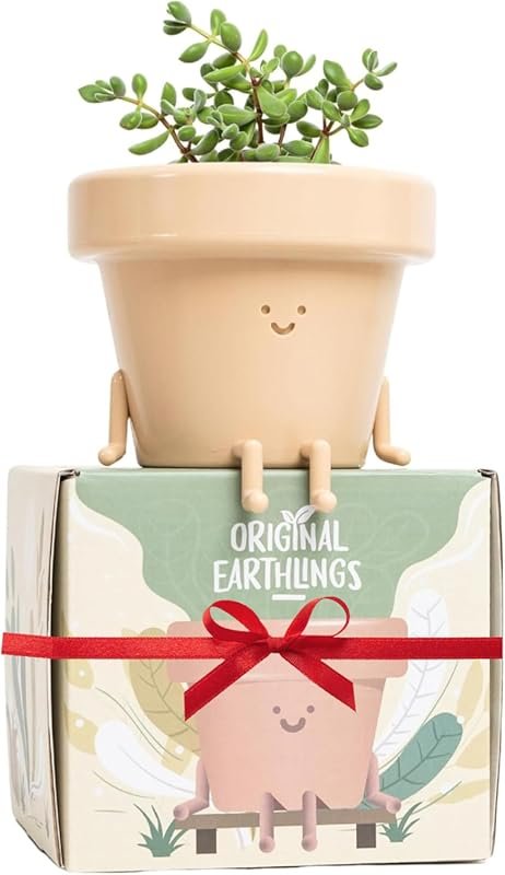 Original Earthlings Cute Plant Pot for Succulents and Cacti with Drain