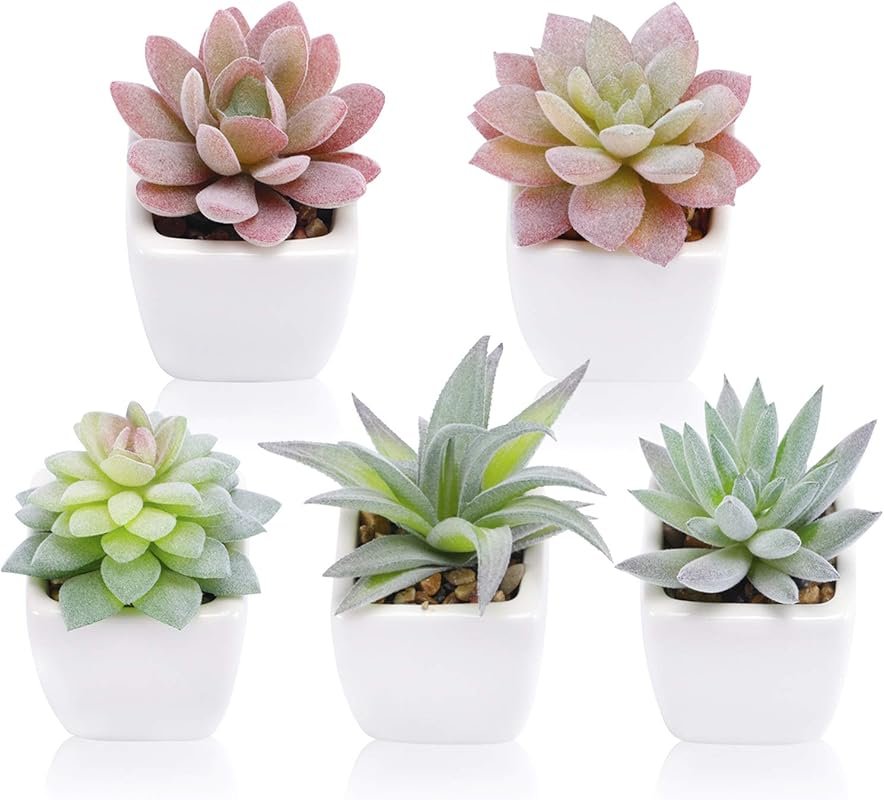 FUNARTY 5pcs Artificial Succulent Plants in Ceramic Pots for Desk and