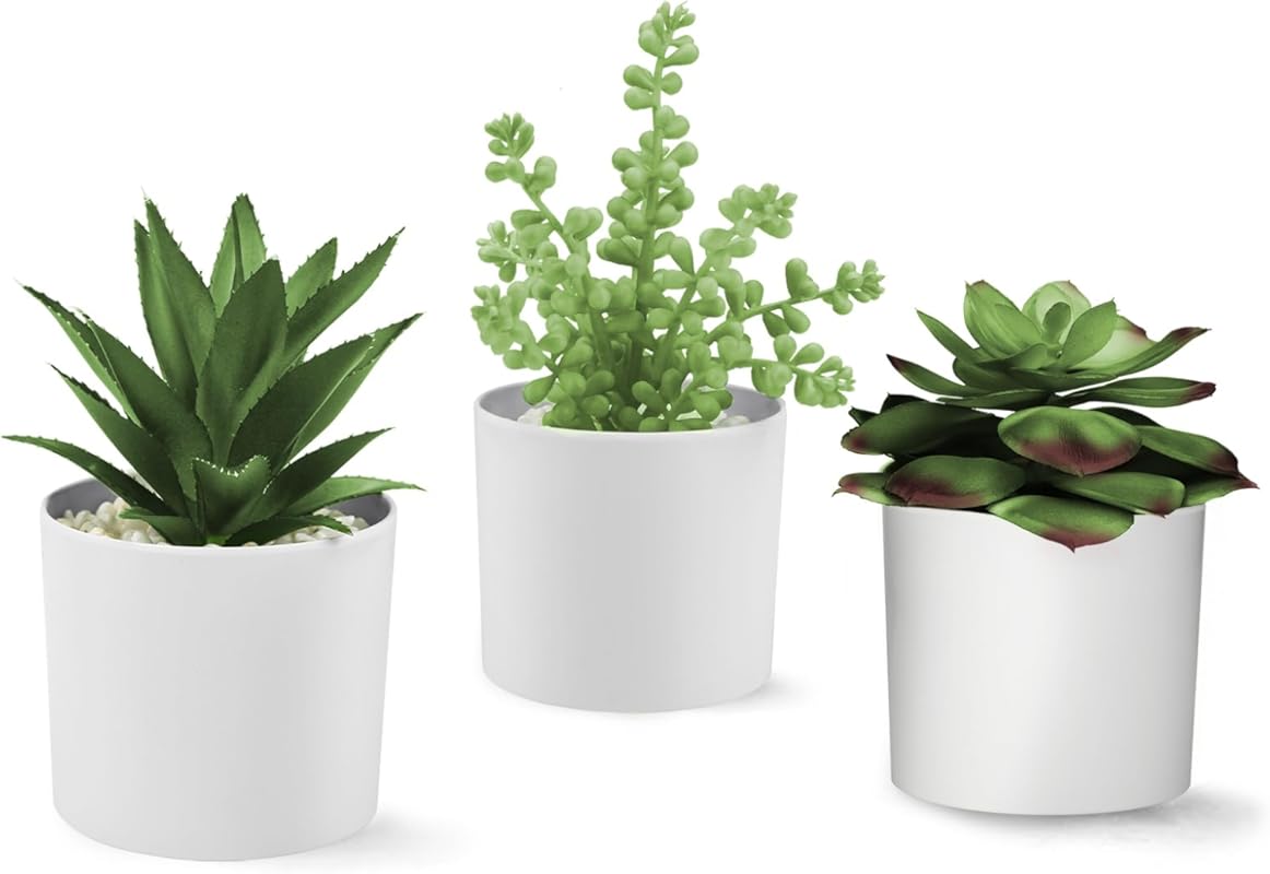 Hopewood Succulent Plants Artificial in White Pots Small Faux Potted S