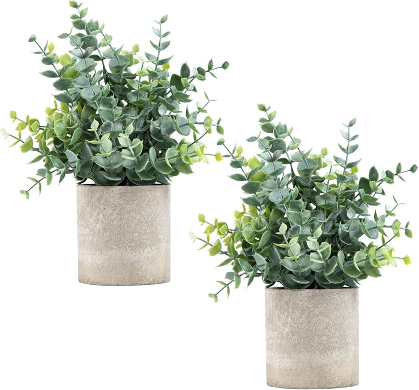 2 Pack Small Eucalyptus Potted Artificial Plants for Desk and Bathroom