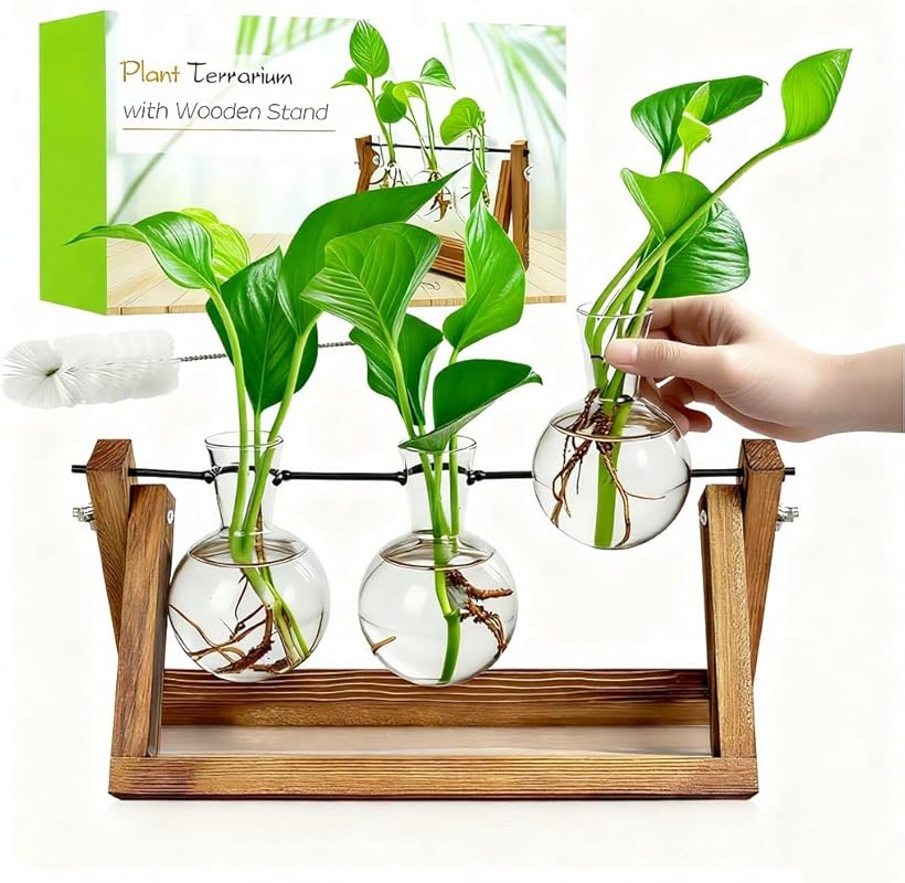 Plant Propagation Station with Wooden Stand and Glass Bulb Vases for I
