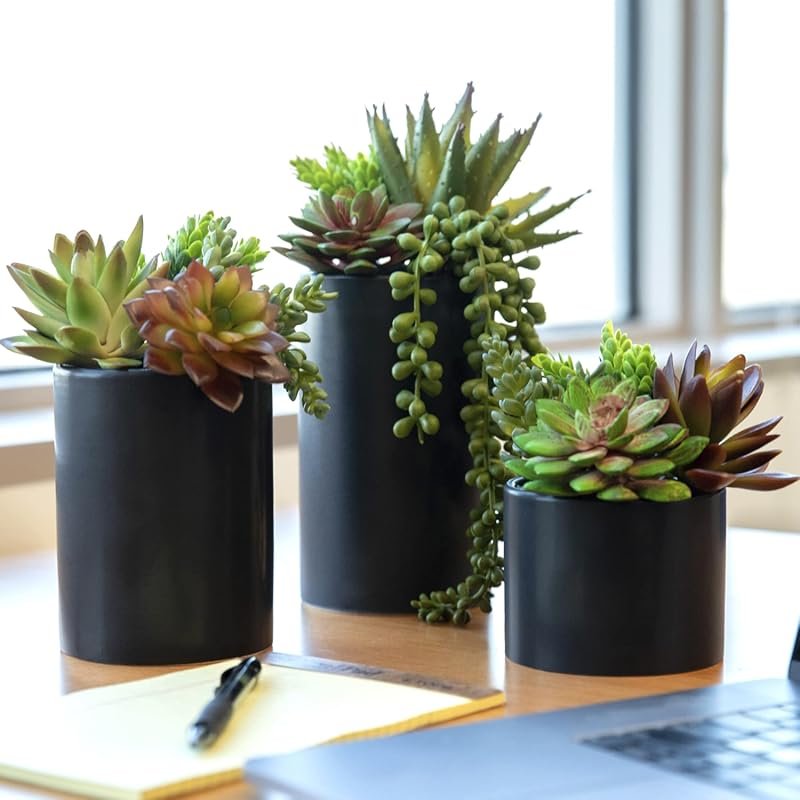 Pack of 3 Indoor Fake Succulents in Black Pots for Home Decor