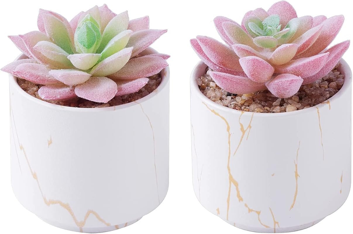 Set of 2 Mini Fake Succulents in White Ceramic Pots for Home and Offic
