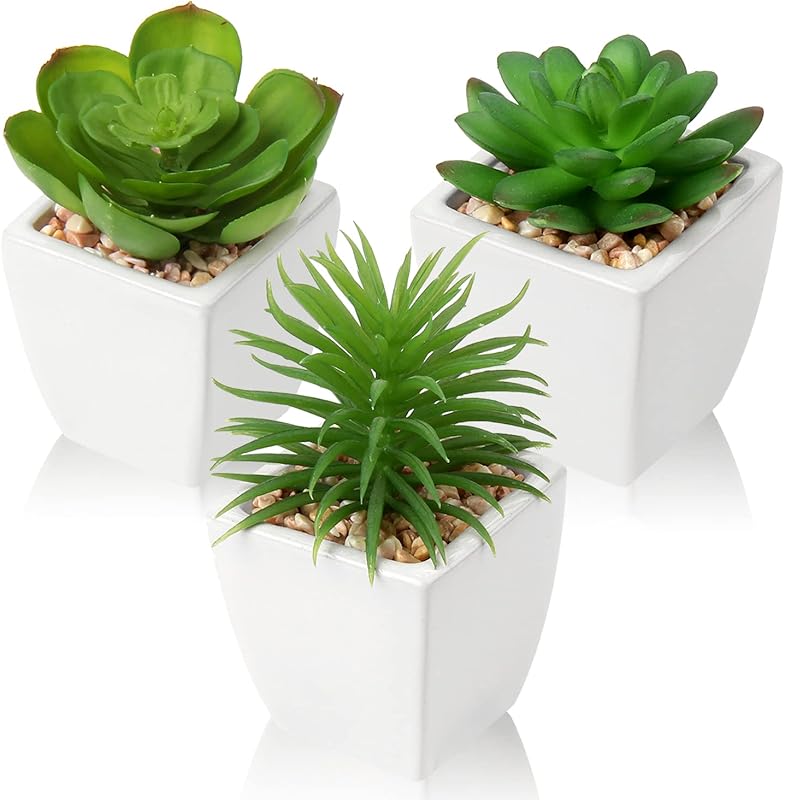 3-Pack Artificial Succulents in White Ceramic Pots for Indoor and Outd
