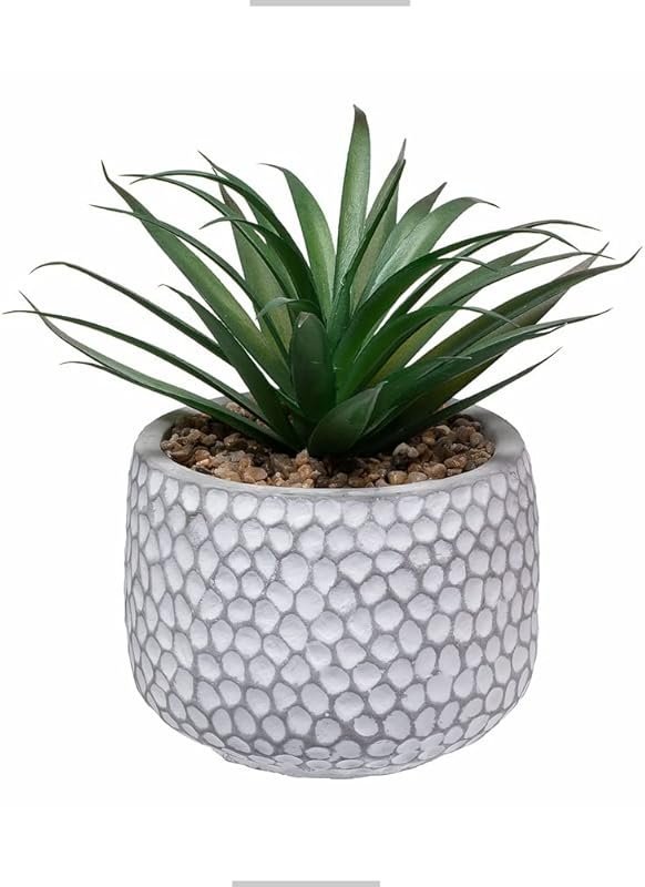 CADNLY Small Fake Plants in Pot - Artificial Succulents for Desk - Sma