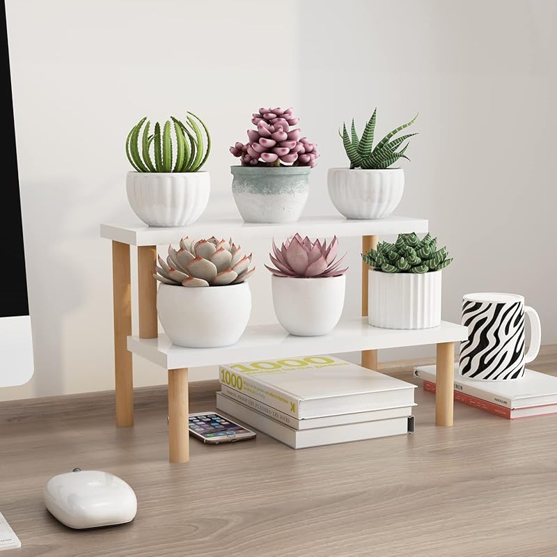 Small Plant Stand Indoor Ladder Shelf Desk, 2 Tiers Desktop Flower Sta