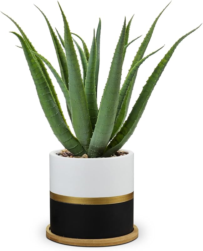 Faux Aloe Vera Plants in Gold and Black Pot for Home Office Decor