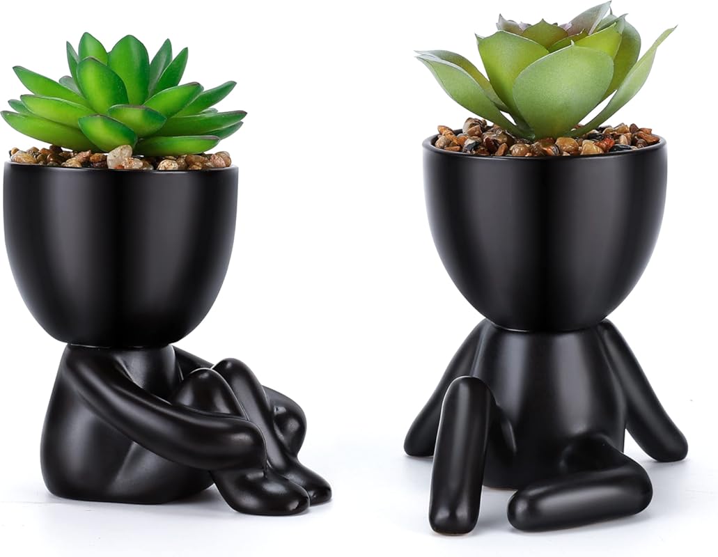 Fake Succulent, Mini Succulents Plants Artificial in Black Modern Huma
