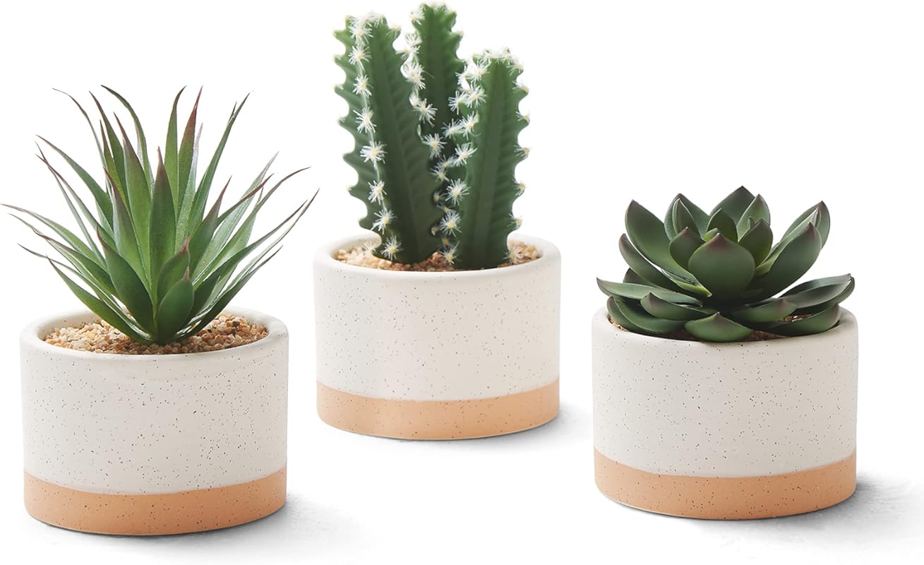 Artificial Succulent Plants in Ceramic Pots for Home and Office Decor, Set of 3