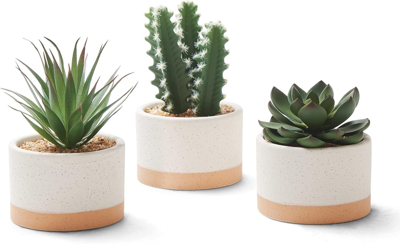 Artificial Succulent Plants in Ceramic Pots for Home and Office Decor,