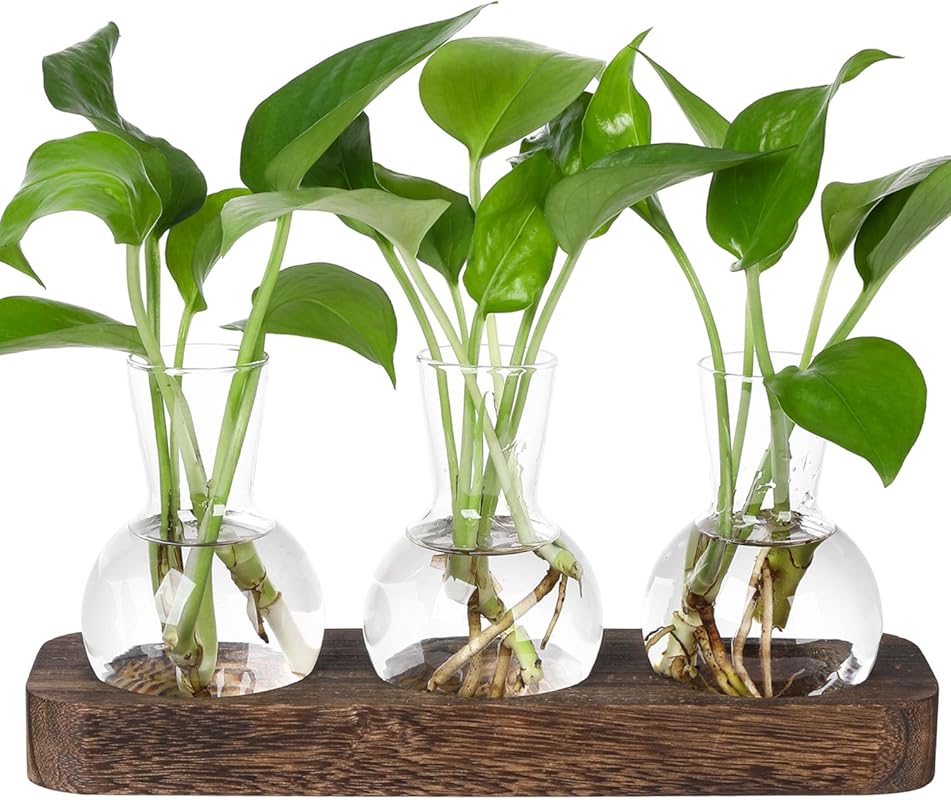 Plant Propagation Station with Wooden Stand for Hydroponic Plants and 