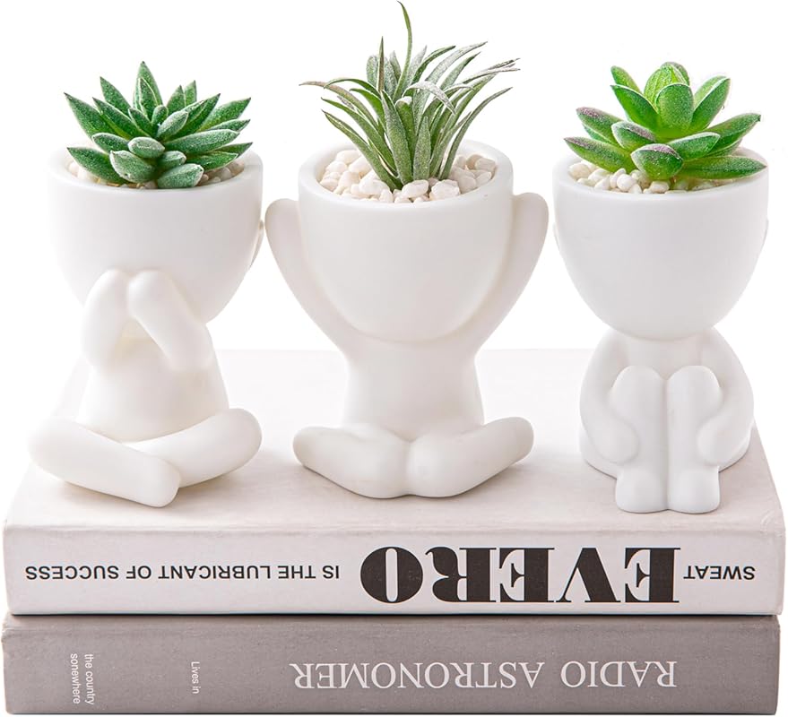 HEYO-YEPY 3PCS Cute Artificial Plant Office Decor for Women and Men, A