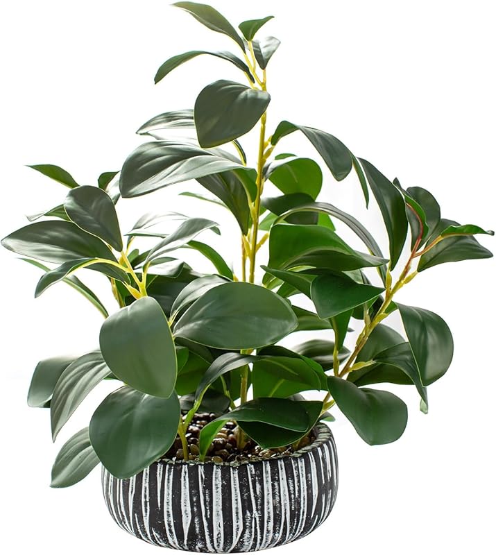 Artificial Succulents in Rustic Black Clay Planter for Home and Office