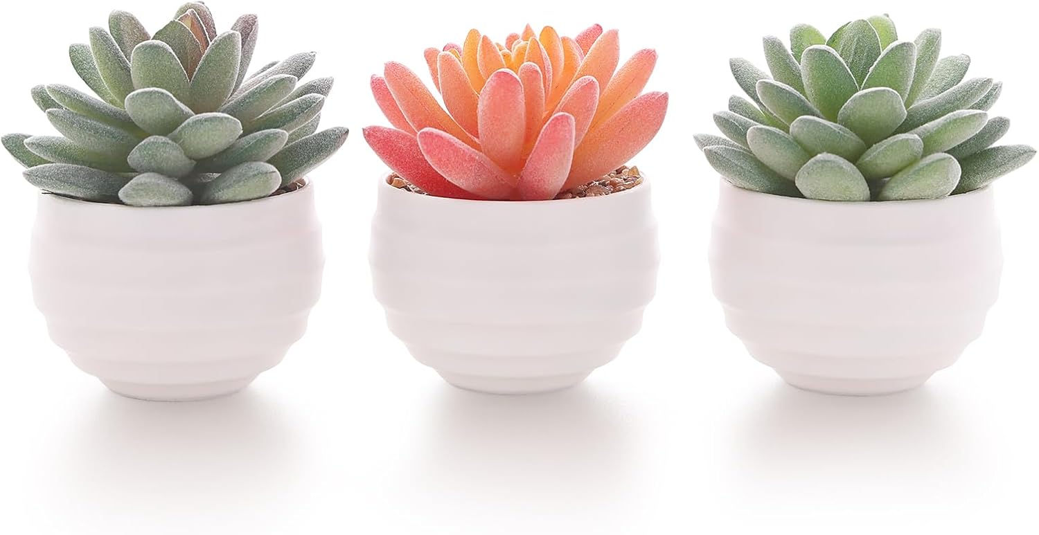 Tiita Faux Succulents in Pots for Small Home and Office Desk Decoratio