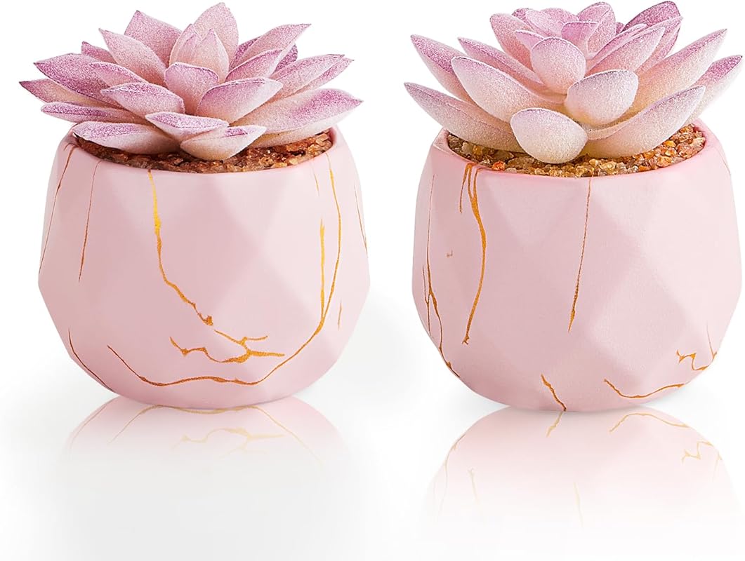 Artificial Succulent Plants in Pink Ceramic Pots for Vanity and Desk D