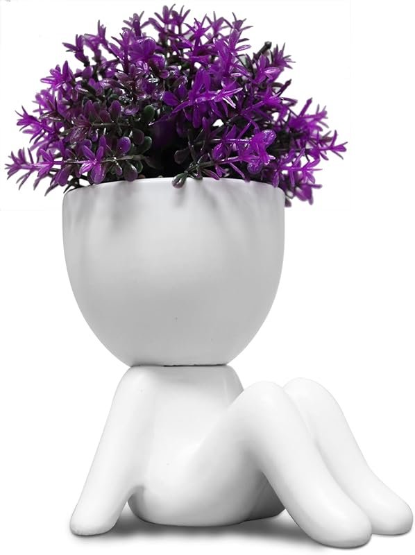 Zerzsy Mini Succulent Plant - Cute Desktop Decoration for Office and I