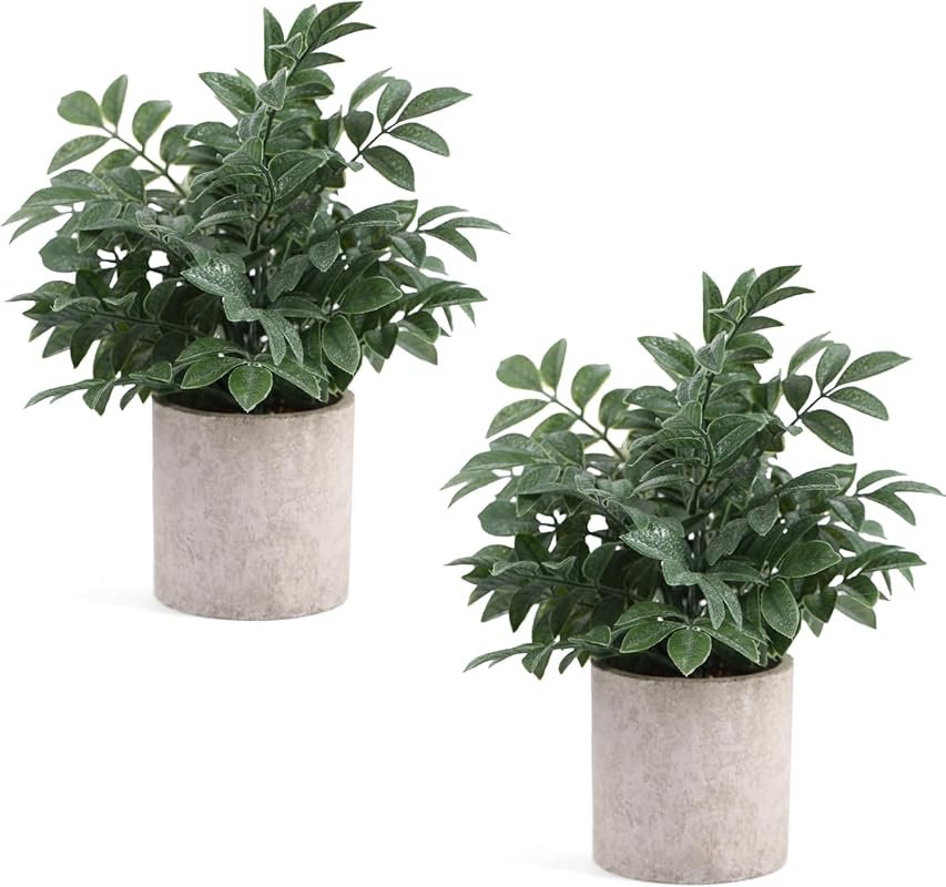 2 Pack Small Fake Plants Potted Artificial Herb Plants for Shelf Desk 
