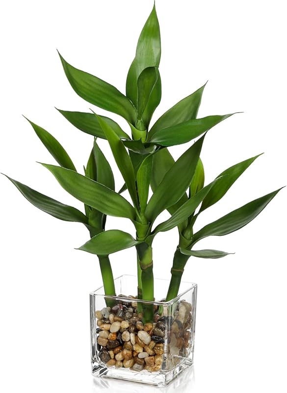 Artificial Lucky Bamboo Plant 17.3 Fake Plant in Rectangular Glass Pot