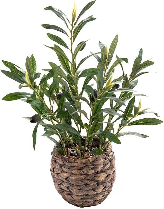 Lifelike Olive Plant in Rattan Planter for Office Desk and Kitchen Decor