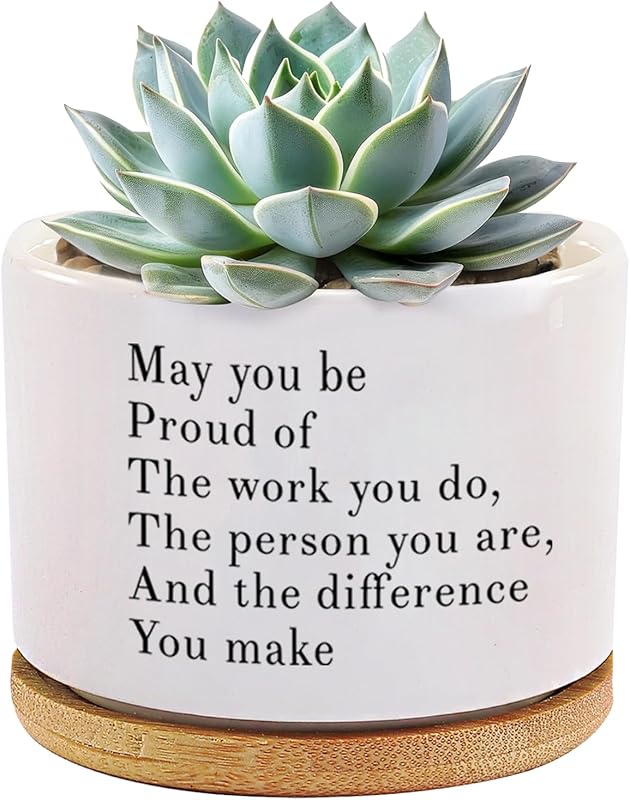 May You Be Proud of The Work You Do Inspirational Gift Ceramic Succule