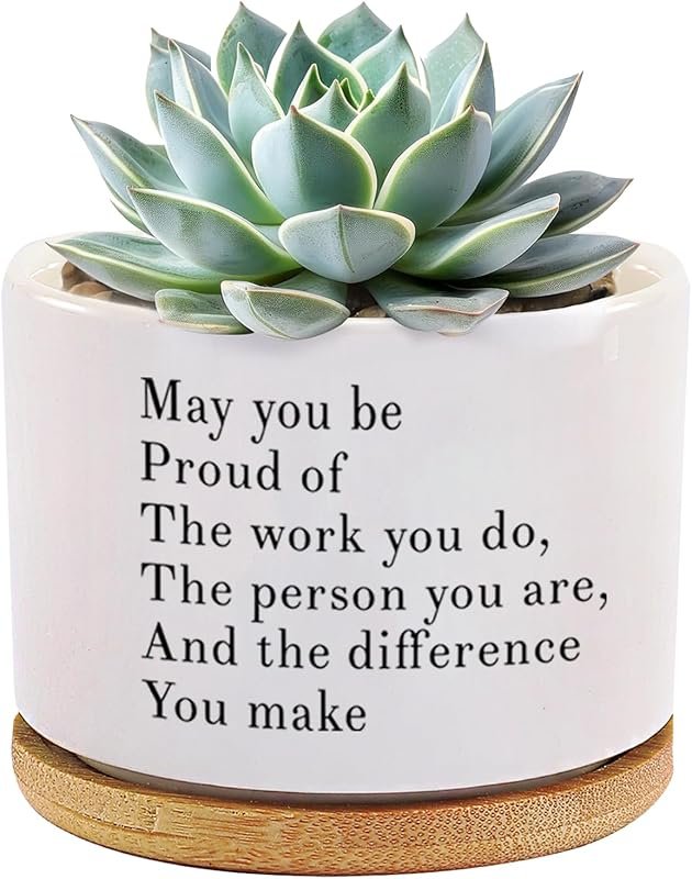 May You Be Proud of The Work You Do Inspirational Gift Ceramic Succulent Plant Pot with Tray Coworker