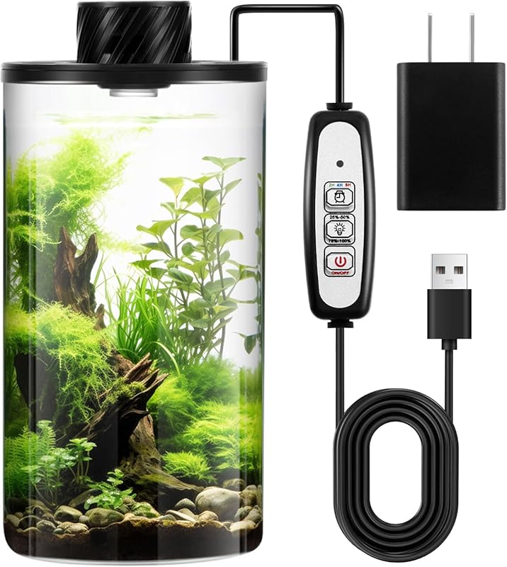 Maxdot Glass Plant Terrarium Kit with Light for Succulent and Moss Gar