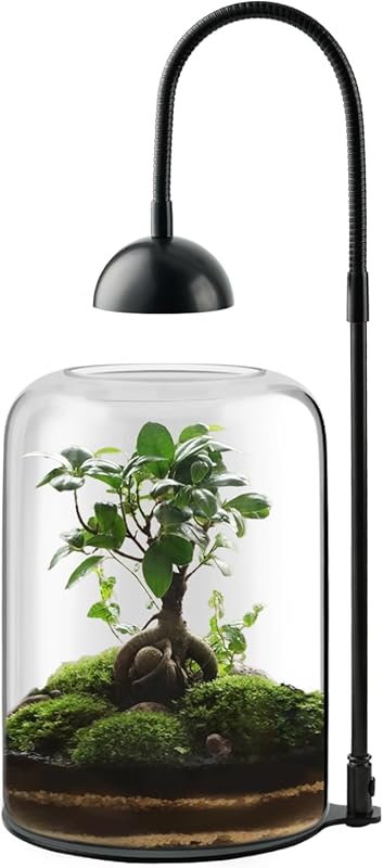 Glass Plant Terrarium with LED Light, 8.2