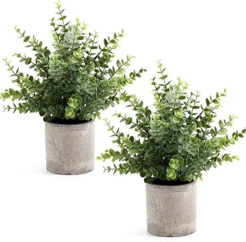 2 Pack Small Eucalyptus Potted Artificial Plants for Desk and Home Dec