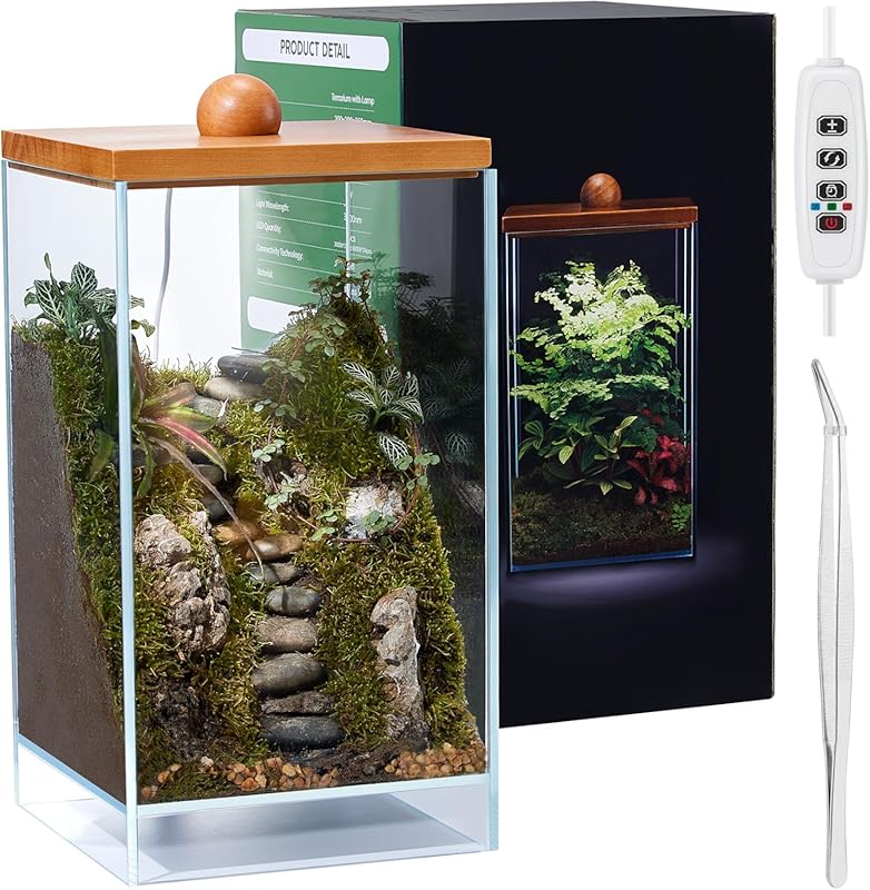 13.7H x 7.8W Desktop Glass Plant Terrarium with Light for Succulent an