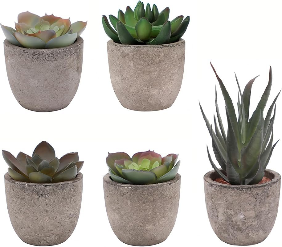 Set of 5 Artificial Succulent Plants in Pots - Lifelike Fake Succulent