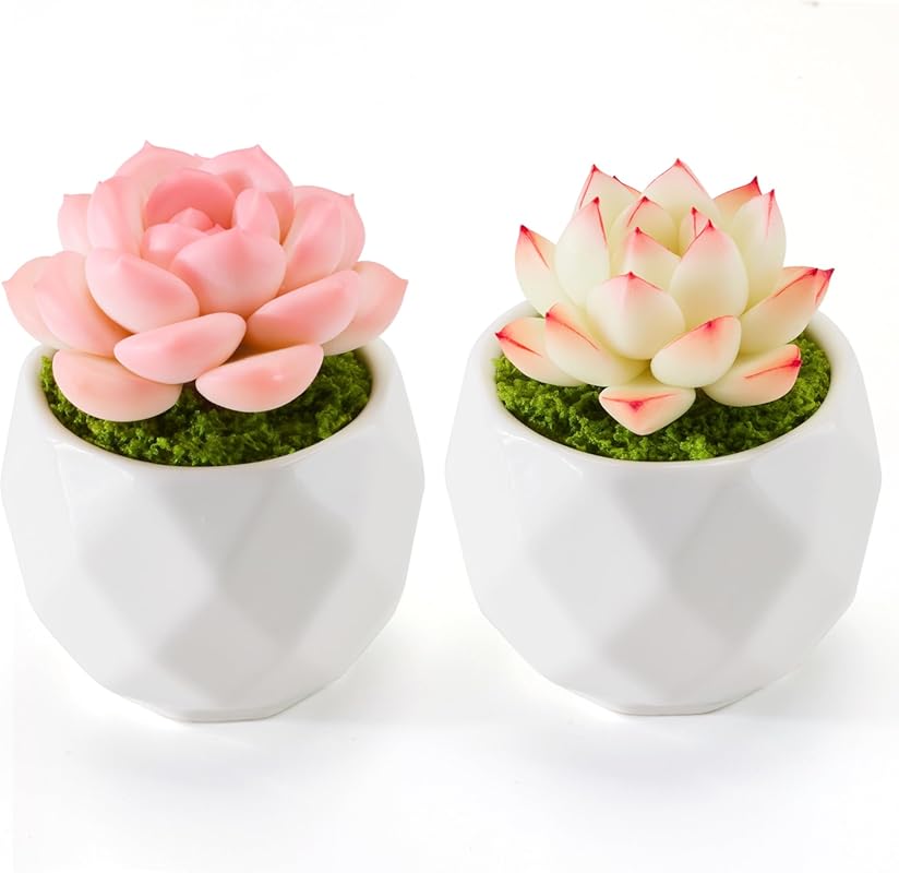 Set of 2 Potted Artificial Succulent Plants for Home and Desk Decor