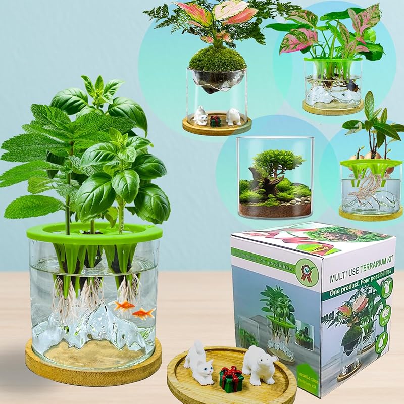 Versatile Plant Propagation Station Vase Hydroponic Planter Pot,Glass 