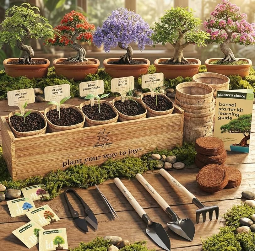 Planter's Choice Bonsai Tree Starter Kit for Indoor Gardening and DIY