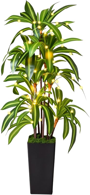 5FT Artificial Dracaena Tree with Lights and Black Planter for Indoor 