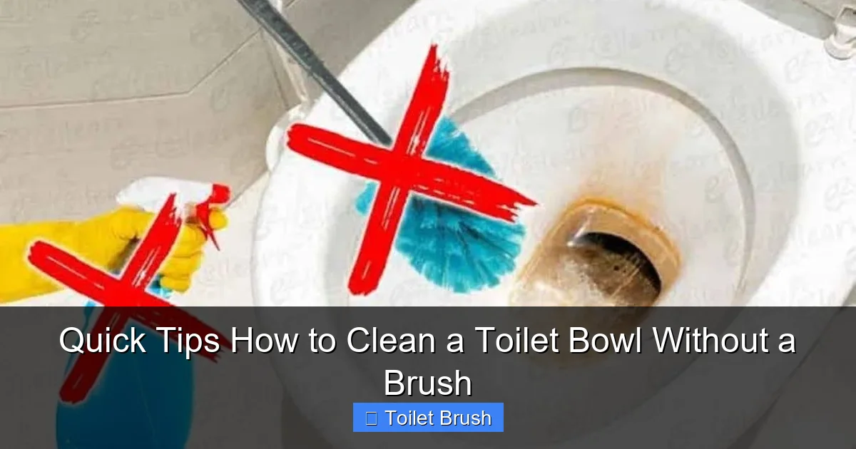 Quick Tips How to Clean a Toilet Bowl Without a Brush