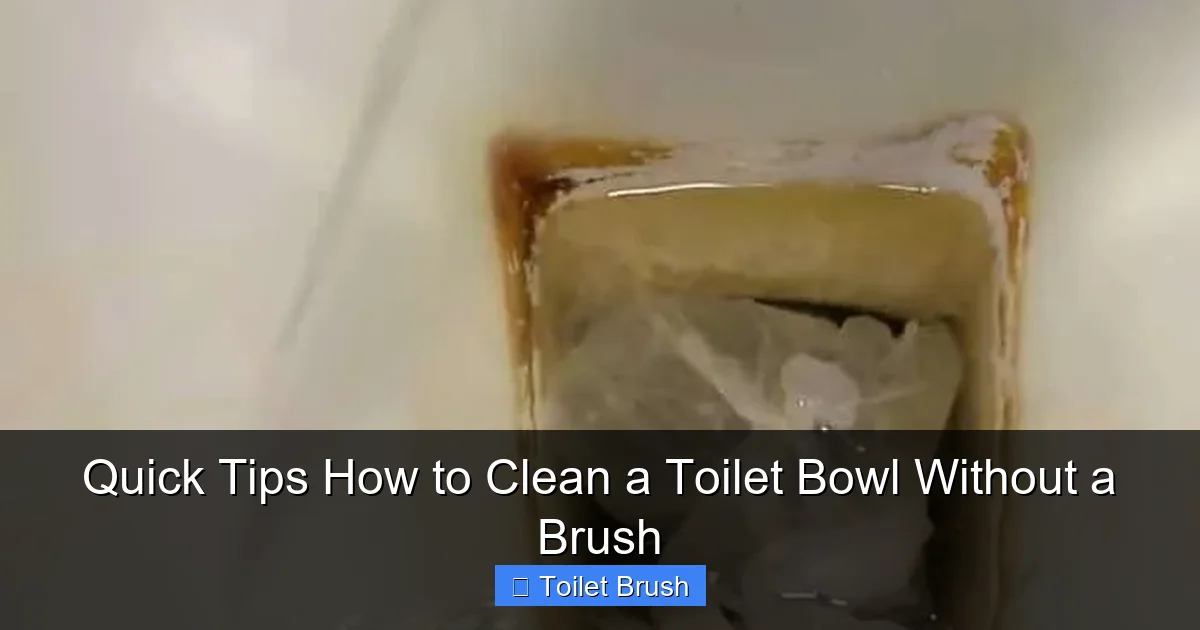 Quick Tips How to Clean a Toilet Bowl Without a Brush